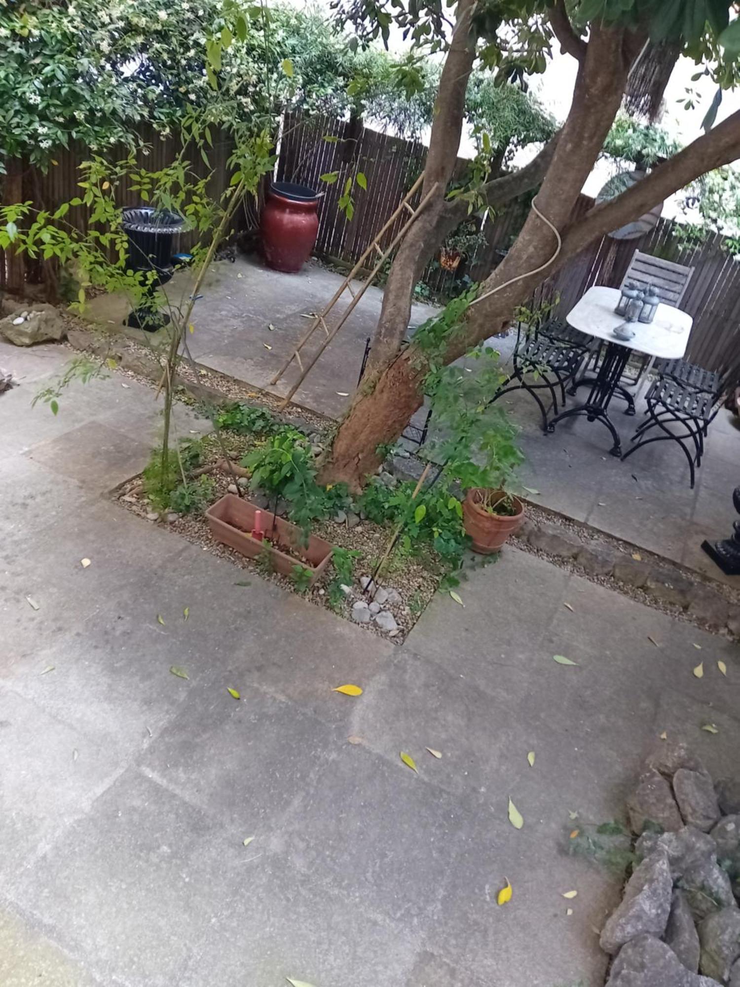 Apartment Little Garden