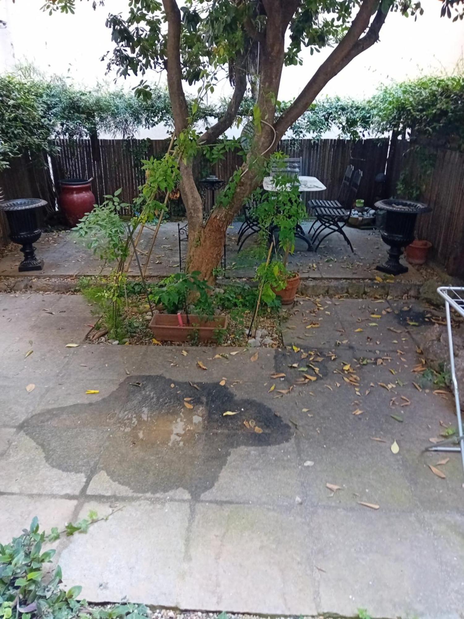Little Garden
